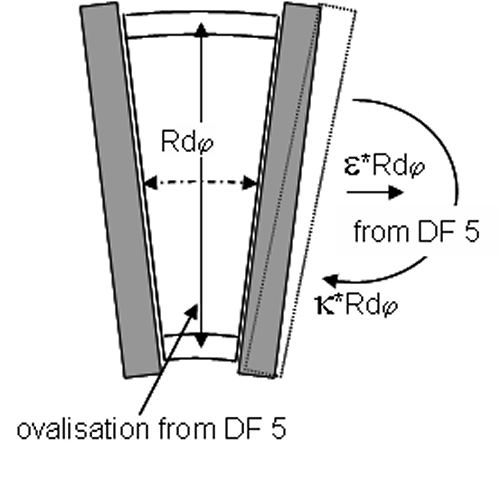 cross section DF6